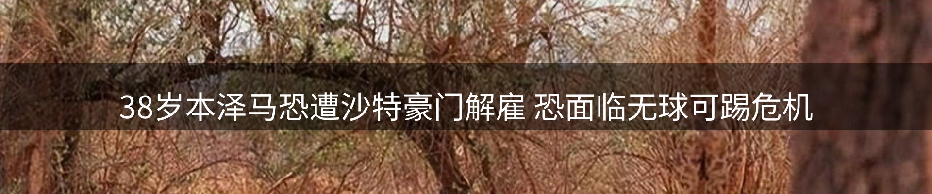 内页banner